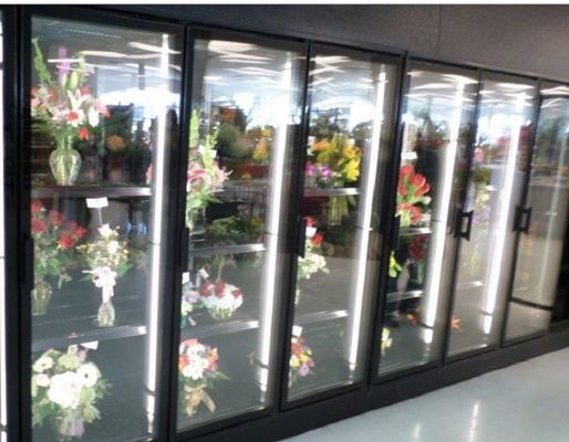 نمایشگر گلدار Walk In Coolers با درب شیشه ای فولادی رنگی خنک می شود