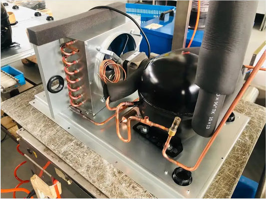 بوفه غذاهای دریایی خود تمیز شونده ضد سقوط دستگاه یخ مکعبی Sk-81b